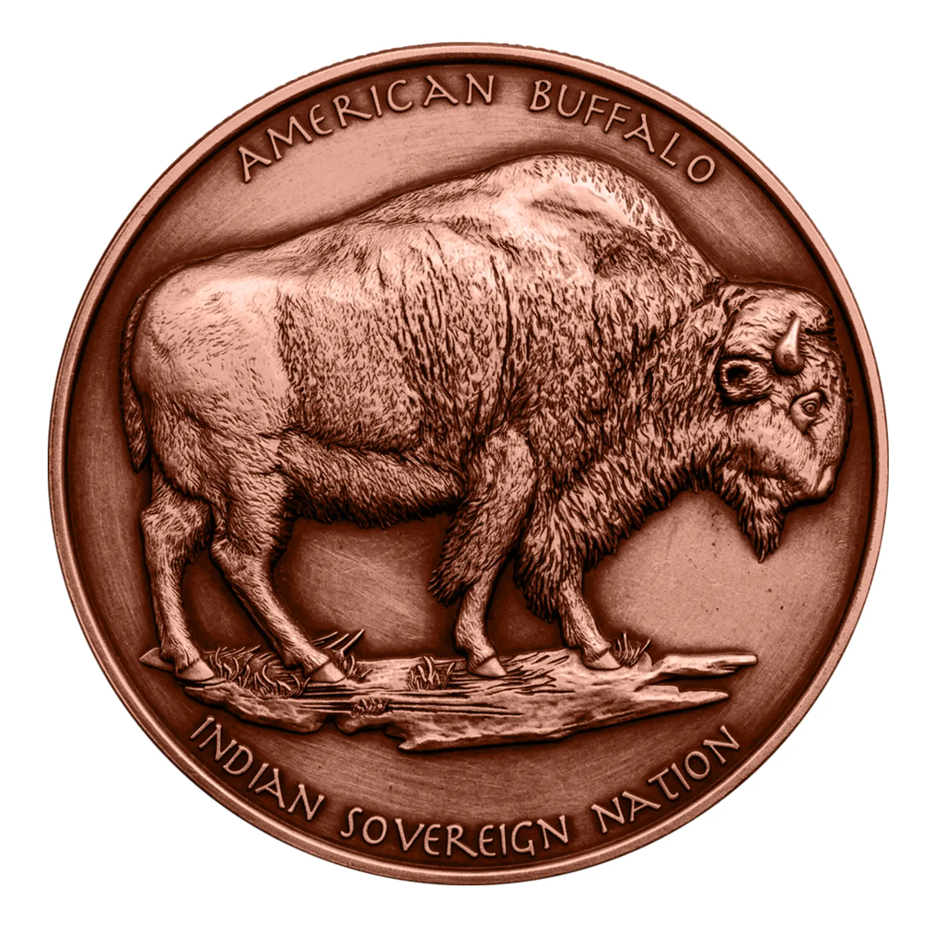 The Chief & the Buffalo, reverse